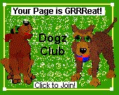 Dogz Club Award